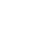 Vizio