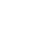 Vizio